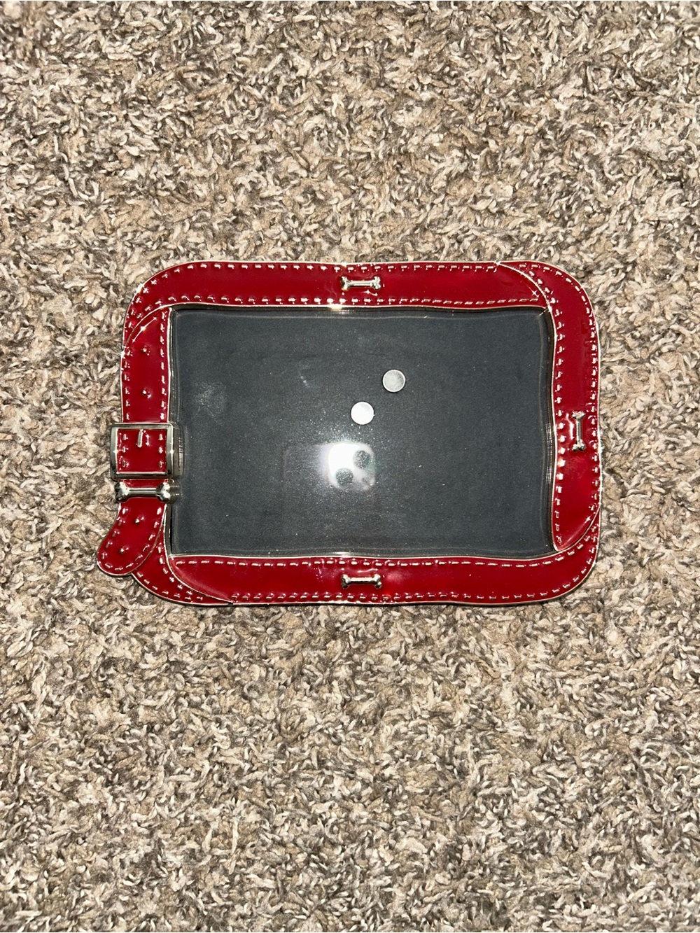 Red Dog Bone Collar Photo Frame 4x6